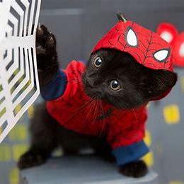 St Clair County Github - Dark Art Collection - Mobile Quality