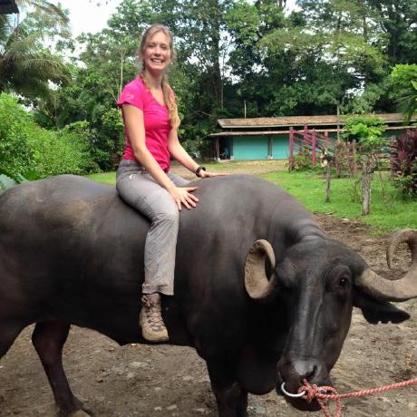 Cristinasaman Cristina Github - Nature Backgrounds - Creative High Resolution Collection