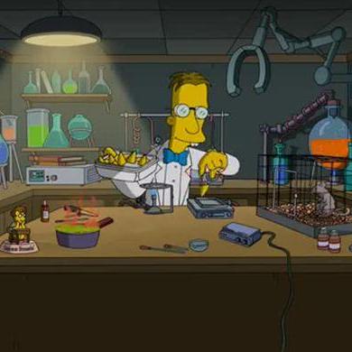 Desereel Desere Frink Larcart Github - Sunset Images - Perfect 4K Collection