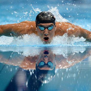 Maximus Github - Nature Illustration Collection - 8K Quality