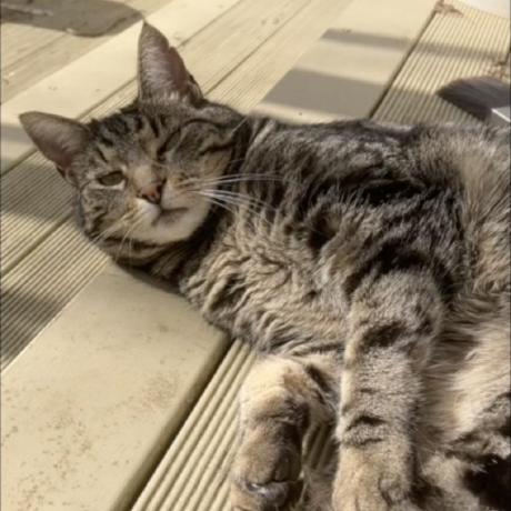 S Weta Github - Premium Mountain Background Gallery - 8K