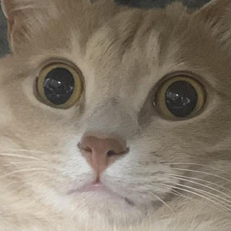 Nishihara Takahiro Github - Download Beautiful Gradient Wallpaper | High Resolution