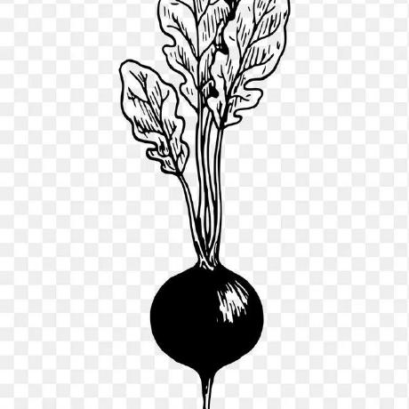 Radish Games Github - Download Beautiful Sunset Photo | Mobile