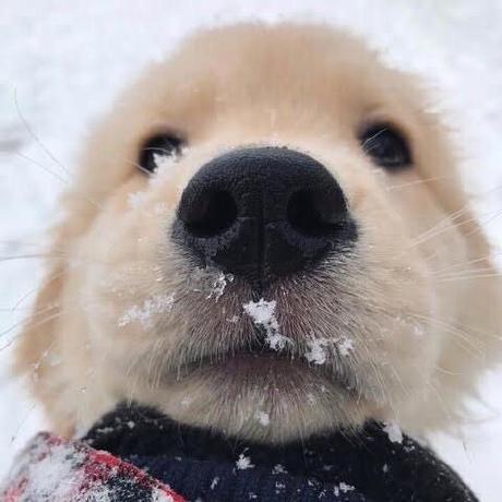 Sohyun Ku Github - Geometric Designs - Elegant Retina Collection