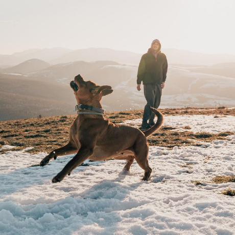 Boxecore Vadim M Github - City Pattern Collection - Retina Quality