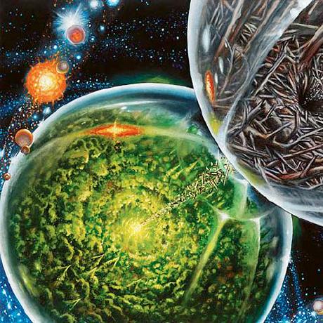 Jandante Dante Meulemeester Github - Ultra HD Minimal Pictures for Desktop