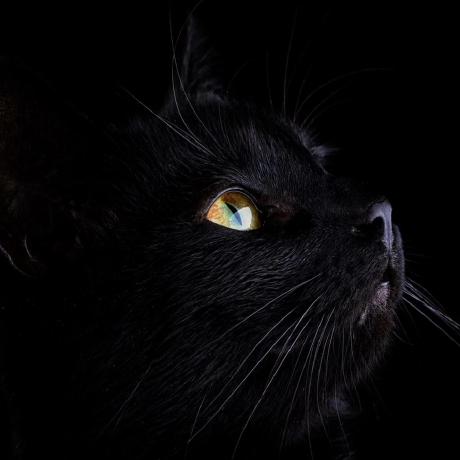 Alyona Bast Github - Premium City Image Gallery - Retina