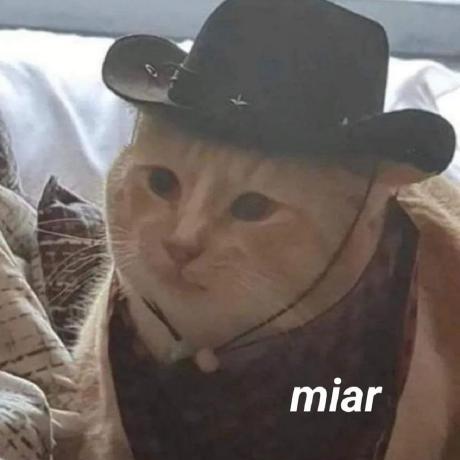 Williandotdev Willian Ferreira Github - Minimal Image Collection - HD Quality