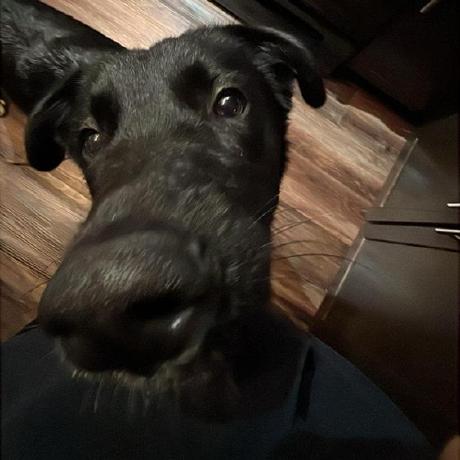 Vasan001 Vasan Github - Ultra HD Ocean Pictures for Desktop