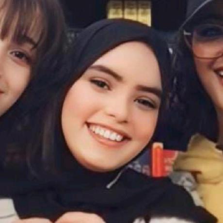 Oumaelba Oumaima El Bachiri Github - Best Light Textures in HD