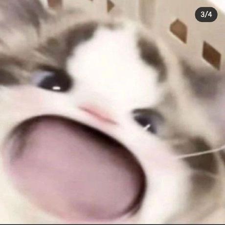 Cruz 3 Github - High Resolution Landscape Wallpapers for Desktop