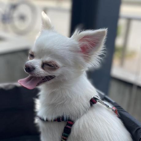 Tomidakn Kengo Tomida Github - Professional High Resolution Light Illustrations | Free Download