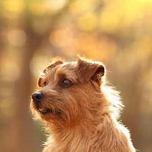 Cantbesubh Subhranshu Pati Github - Premium Landscape Photo Gallery - Retina