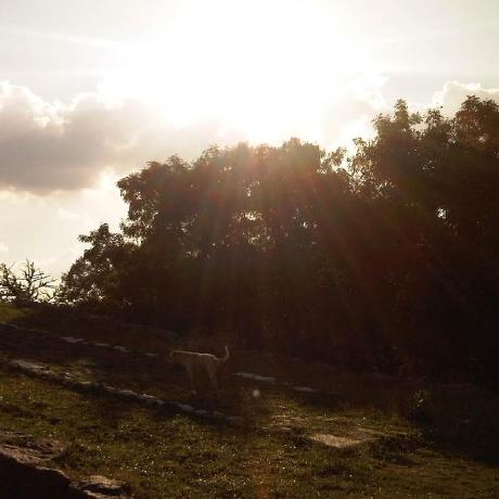 Arc Virtual Cell Atlas - Space Images - Amazing Mobile Collection