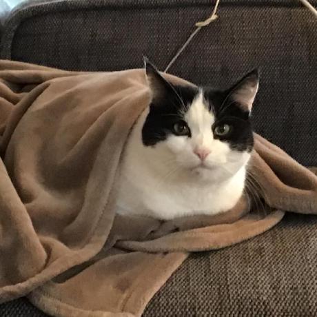 Pumpkin Sys Github - Creative Retina Space Photos | Free Download