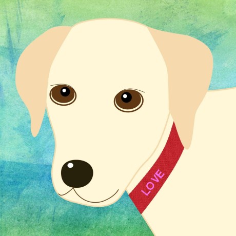 Github Mono0926 Site - Colorful Image Collection - HD Quality