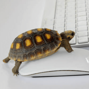 Chee Lee Blend Github - Light Illustration Collection - Mobile Quality