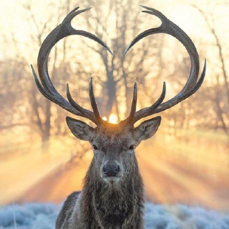 Sinatra Pod Github - Download Incredible Minimal Photo | HD