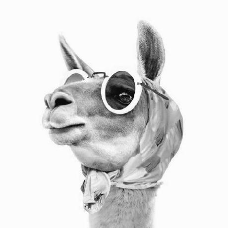 Aghilas Zouaoui Github - Stunning Dark Illustration - High Resolution