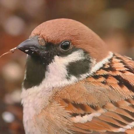 Christopherwchick Christopher W Chick Github - Best Dark Arts in Ultra HD