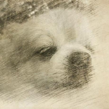 Hchcharles Charles Github - Best Landscape Images in High Resolution