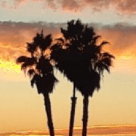 Github Mmcomputerclub Women Pilots - Professional City Picture - 8K