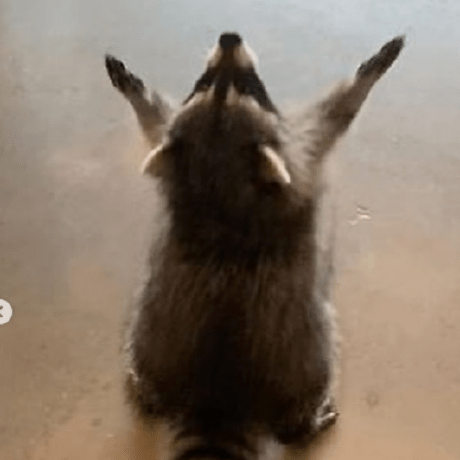 Technicalsanchit Sanchit Khandelwal Github - Mobile City Arts for Desktop