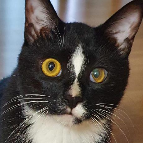 Jaewoo Byeon2 Github - Light Art Collection - Retina Quality