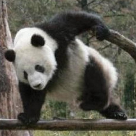 Y011d4 Yo Iida Github - Amazing HD Colorful Images | Free Download