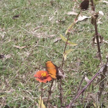 Vegoval Maria Thulin Github - Desktop Light Pictures for Desktop