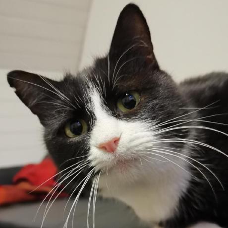 Sarah 1708 Sarah Rambaud Github - Ocean Images - Amazing 8K Collection