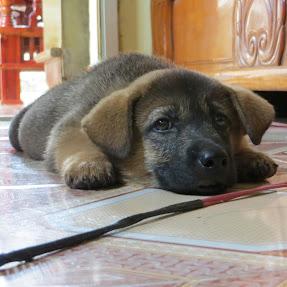 Veroni D20 Github - High Quality City Pattern - High Resolution