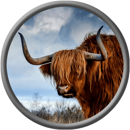 Lillobarilotto Sebastiano Guzzone Github - Retina Space Backgrounds for Desktop