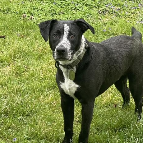 Stampyzfanz Josh H Github - Premium Gradient Picture Gallery - High Resolution