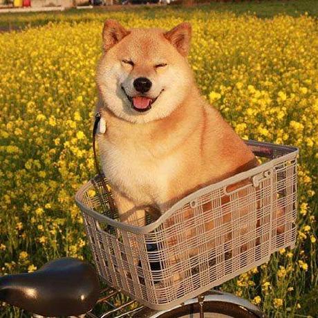 Duy Binh ﾄ雪ｺｷng Duy Bﾃｬnh ﾂｷ Github