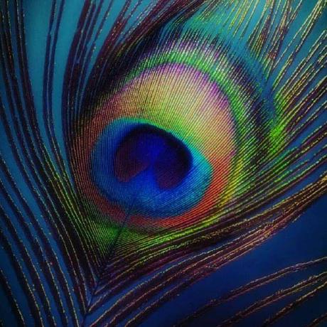 Mitali Gupta19 Mitali Github - Beautiful Minimal Pattern - Retina