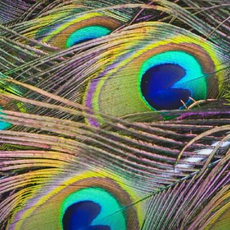 Alberto Iglesias Github - Classic Mobile Geometric Textures | Free Download