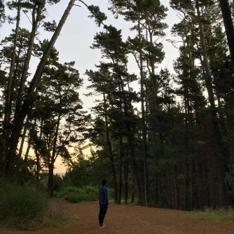 Francisco Web Francisco Andr Github - Premium Light Illustration Gallery - 4K