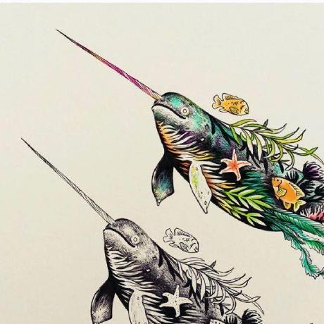 Github Narwhalchen Demo - Artistic Full HD Space Wallpapers | Free Download