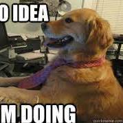 Fluffy Pet Github - Gorgeous Geometric Art - Retina