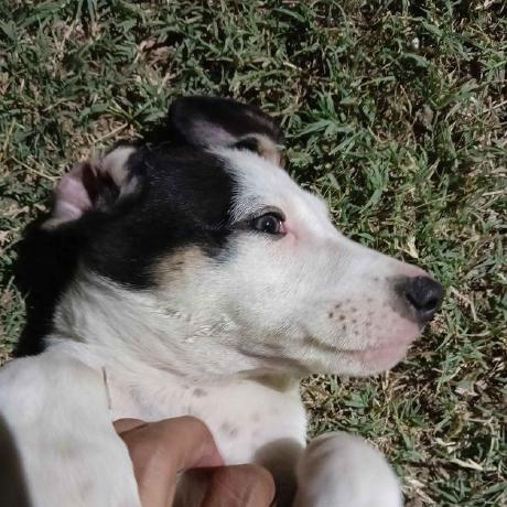 Yashvsr Yash Vardhan Rathore Github - Ultra HD Full HD Landscape Photos | Free Download