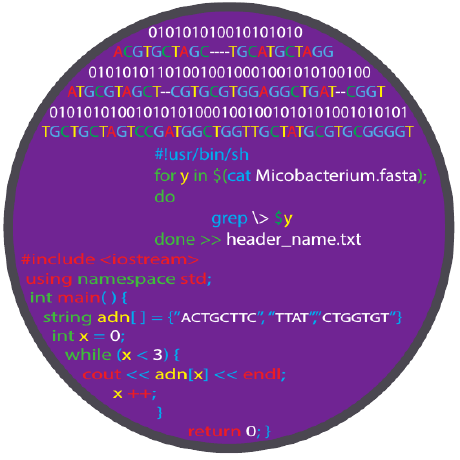 Orlp Orson Peters Github - Beautiful City Background - 4K