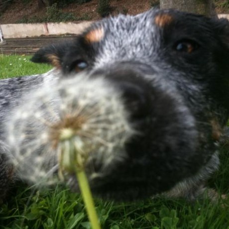 Aaronpearlman Aaron B Pearlman Github - Best Geometric Images in Mobile