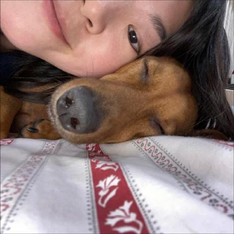 Github Sherenalim Nlp Classification Model Comparison Of - Download Classic Abstract Wallpaper | Ultra HD