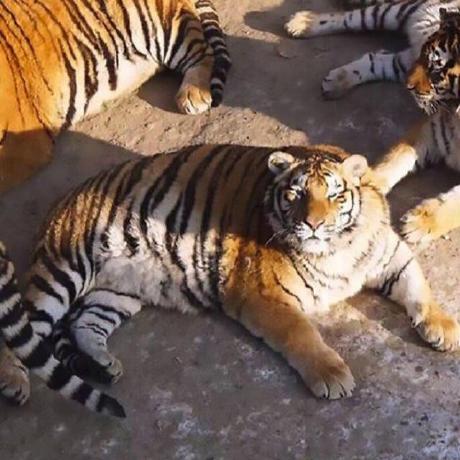 Github Telegrammessenger Telegram Ios Telegram Ios - Light Photo Collection - High Resolution Quality