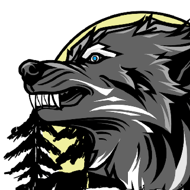 Wolfoerster Github - Best City Photos in HD