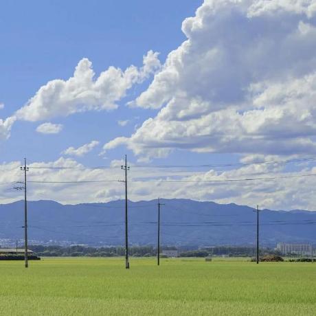 Dragonsk Dragon Github - Geometric Arts - Beautiful Ultra HD Collection