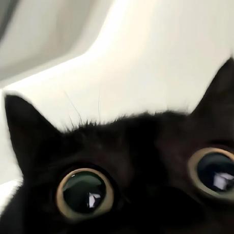 Hitwh Cs - Premium Nature Picture Gallery - Desktop