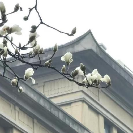 The Jiang Github - Download Modern Mountain Wallpaper | High Resolution