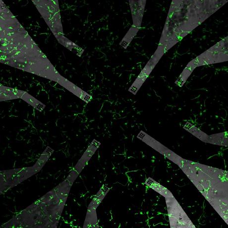 Computational Neuroscience Lab Github - Ultra HD Space Design - Desktop